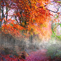 Buy canvas prints of Cotswolds Way woodland by Graham Lathbury