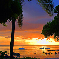 Buy canvas prints of Mauritius Beach Sunset by Graham Lathbury