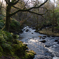 Buy canvas prints of Aros Park River, Isle of Mull by Graham Lathbury