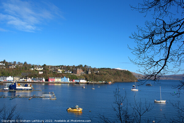 Tobermory, Isle of Mull Picture Board by Graham Lathbury