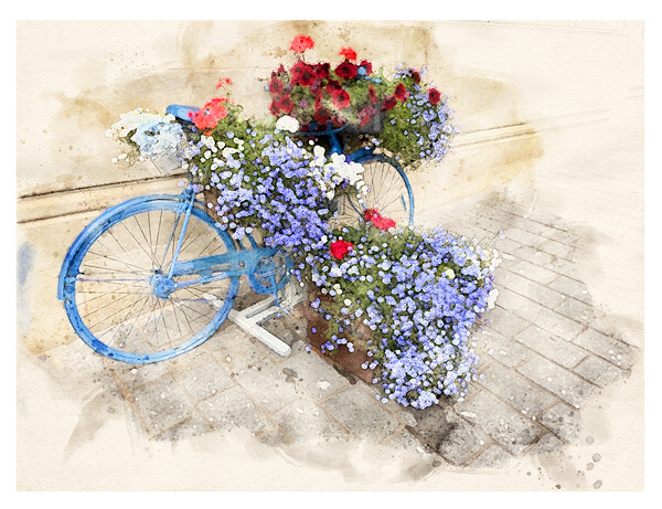 Exeter Bicycle flowers, watercolour Picture Board by Graham Lathbury
