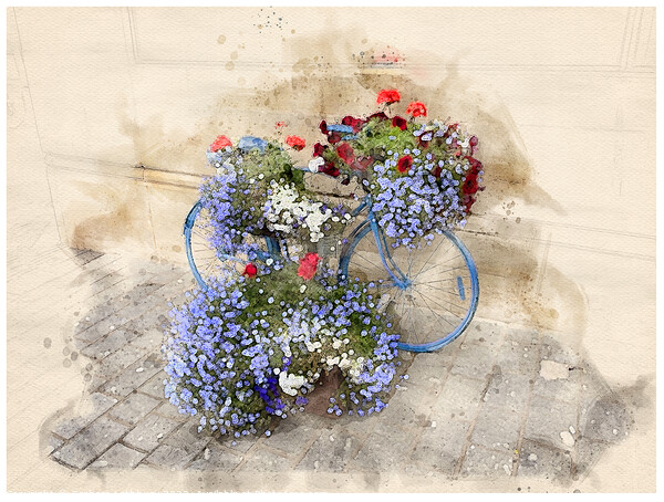 Exeter Bicycle Flowers - watercolour #2 Picture Board by Graham Lathbury