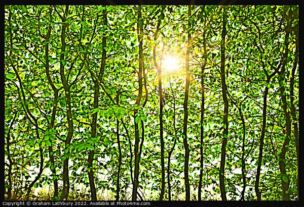 Leafy Sunshine Picture Board by Graham Lathbury