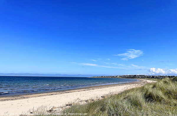Lossiemouth Beach Picture Board by Graham Lathbury