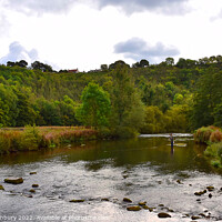 Buy canvas prints of Fly Fishing in the River Wye by Graham Lathbury