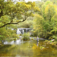 Buy canvas prints of Fly Fishing in the River Wye by Graham Lathbury