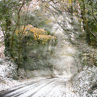 Buy canvas prints of Wintry Cotswolds Lane by Graham Lathbury