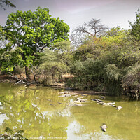 Buy canvas prints of African watering Hole by Graham Lathbury