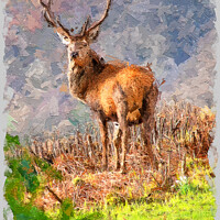 Buy canvas prints of Red Stag Deer in Oils by Graham Lathbury