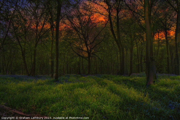 Bluebell Sunrise Picture Board by Graham Lathbury