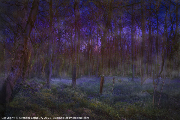 Misty Cotswolds Bluebells Picture Board by Graham Lathbury
