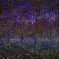 Buy canvas prints of Misty Cotswolds Bluebells by Graham Lathbury
