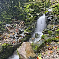 Buy canvas prints of Lake District Ghyll by Graham Lathbury