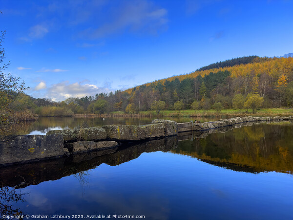 Deri Park, South Wales Picture Board by Graham Lathbury