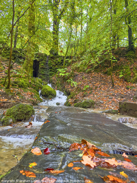 Forest Waterfall Ambleside  Picture Board by Graham Lathbury