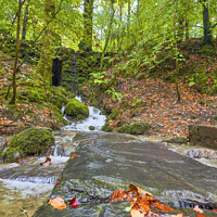 Buy canvas prints of Forest Waterfall Ambleside  by Graham Lathbury