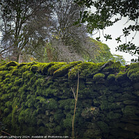 Buy canvas prints of Moss Covered Wall by Graham Lathbury