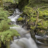 Buy canvas prints of Lake District Waterfall by Graham Lathbury