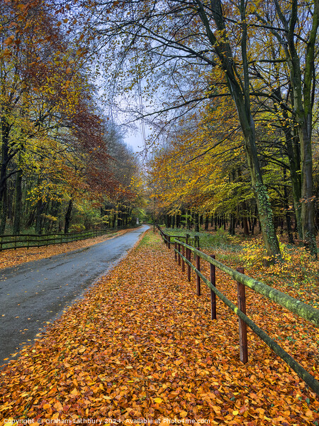 Autumnal Cotswolds Lane Picture Board by Graham Lathbury