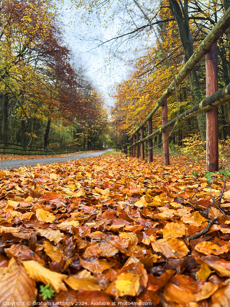 Autumnal Cotswolds Lane Picture Board by Graham Lathbury