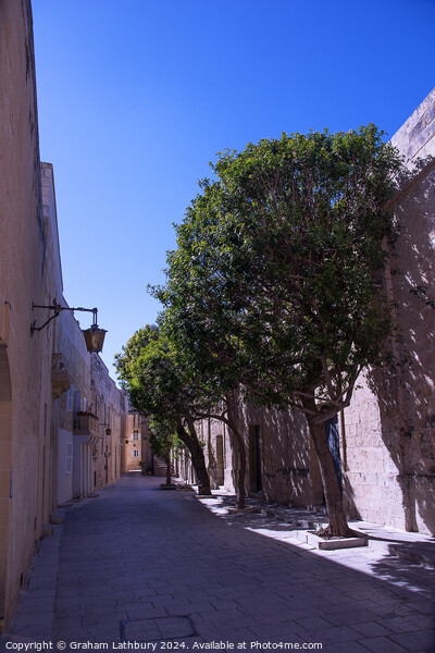 Mdina Side Street, Malta Picture Board by Graham Lathbury