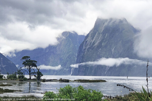 Milford Sound, New Zealand Picture Board by Graham Lathbury