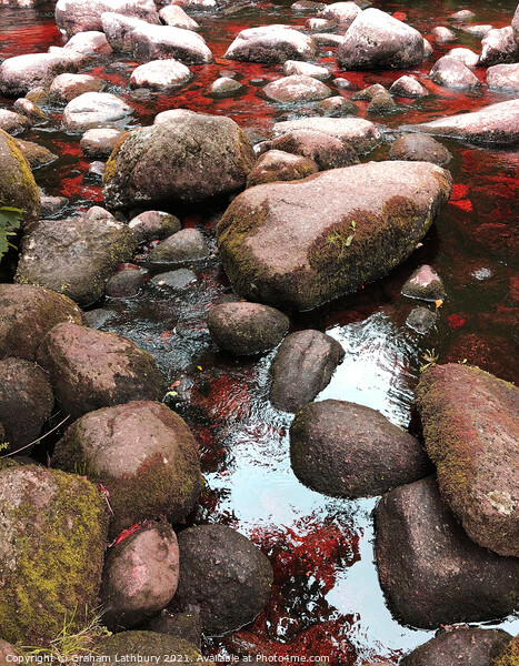 Rock Pools, Lake District Picture Board by Graham Lathbury