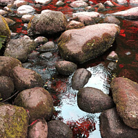 Buy canvas prints of Rock Pools, Lake District by Graham Lathbury
