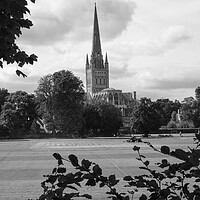 Buy canvas prints of View of Norwich cathedral by Stuart Chard