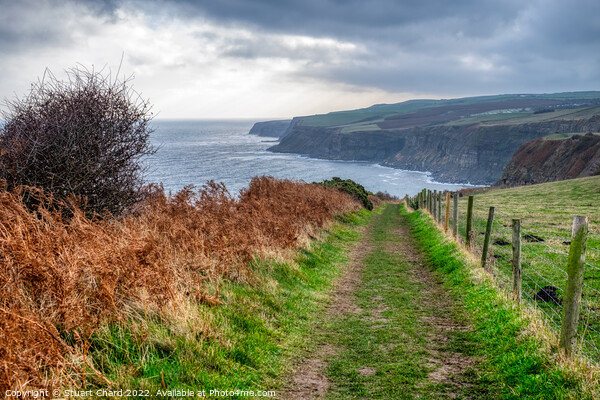Cleveland Way North Yorkshire Coastline Picture Board by Travel and Pixels 