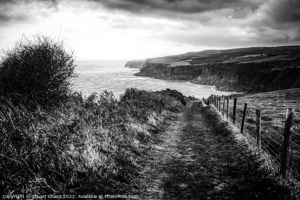 Cleveland Way North Yorkshire Coastline Picture Board by Travel and Pixels 