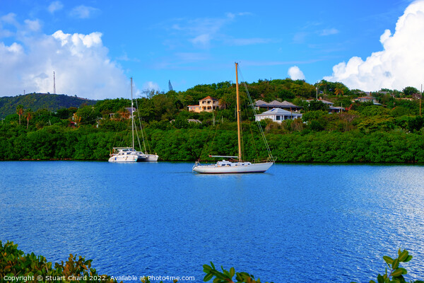 Yachts in the caribbean Picture Board by Travel and Pixels 