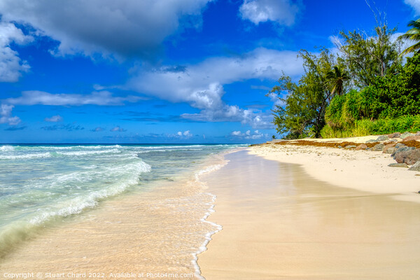 Barbados Beach Picture Board by Stuart Chard