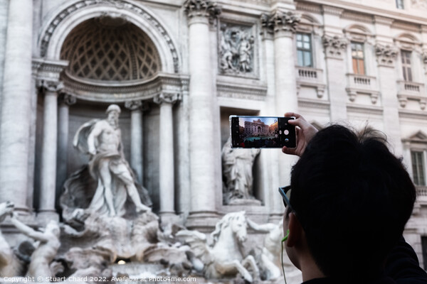 Trevi Fountain Rome  Picture Board by Travel and Pixels 