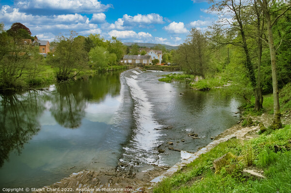 Ludlow weir on the River teme Picture Board by Travel and Pixels 
