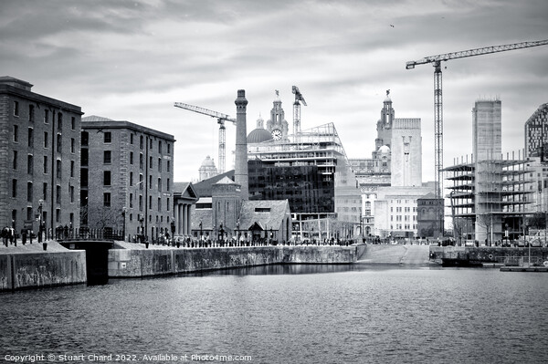 Liverpool Docks Black and White Picture Board by Travel and Pixels 
