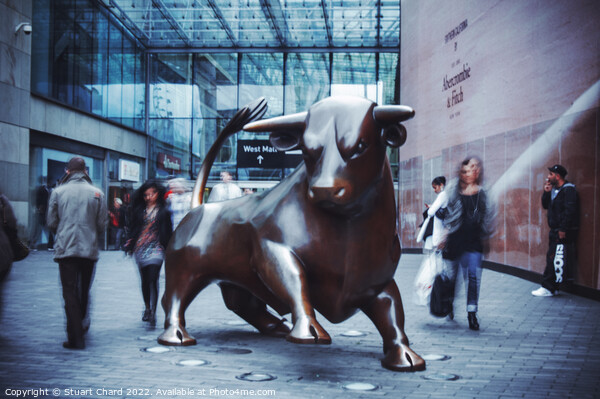 Birmingham Bull sculpture Picture Board by Stuart Chard