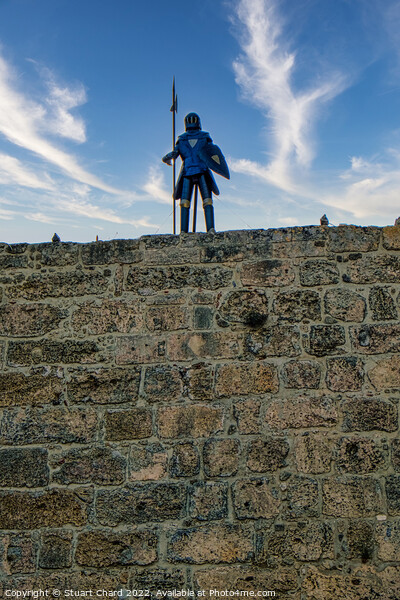  A Knight of St. John Picture Board by Stuart Chard