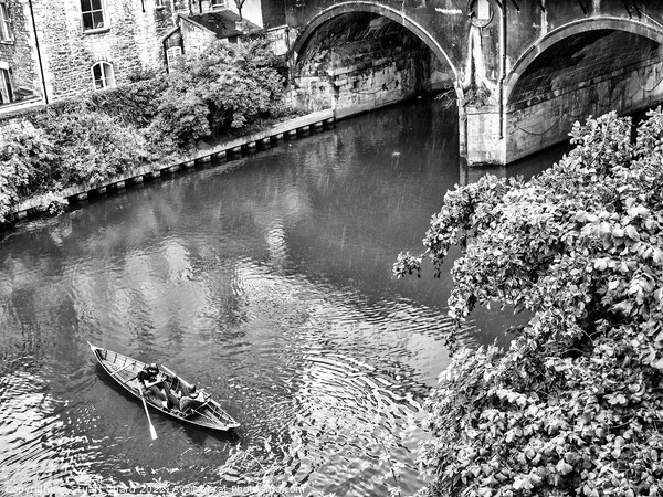 Canoeing in Bath Picture Board by Travel and Pixels 