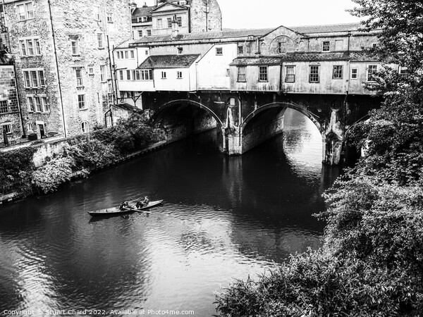 Canoeing on the River Avon in Bath Picture Board by Stuart Chard