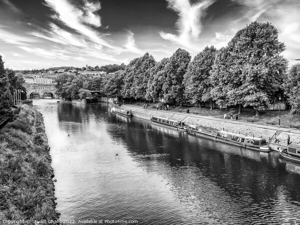 River Avon Bath Picture Board by Stuart Chard