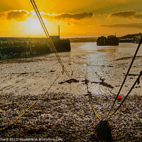 Buy canvas prints of Padstow Harbour Cornwall by Stuart Chard