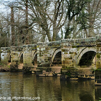 Buy canvas prints of Essex bridge over the River in Staffordshire by Stuart Chard
