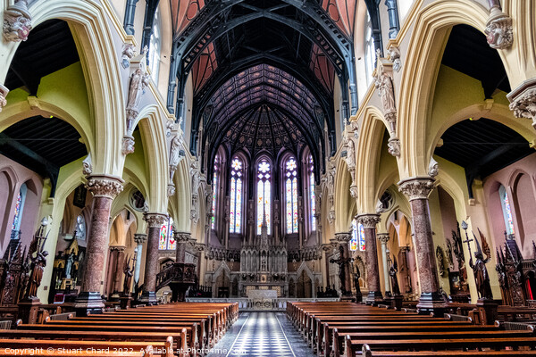 St Colman's Cathedral near Cobh, Ireland  Picture Board by Travel and Pixels 