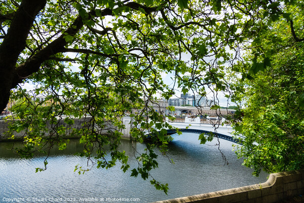 River Liffey in Dublin Picture Board by Stuart Chard