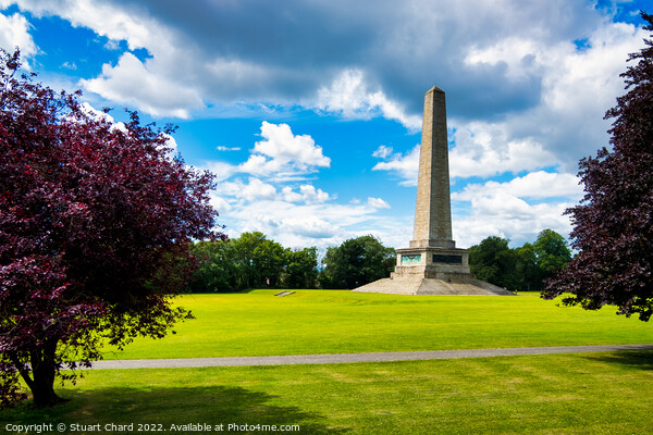 The Wellington Monument Dublin Picture Board by Travel and Pixels 