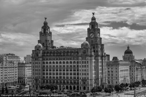 Liver Building Liverpool Picture Board by Travel and Pixels 