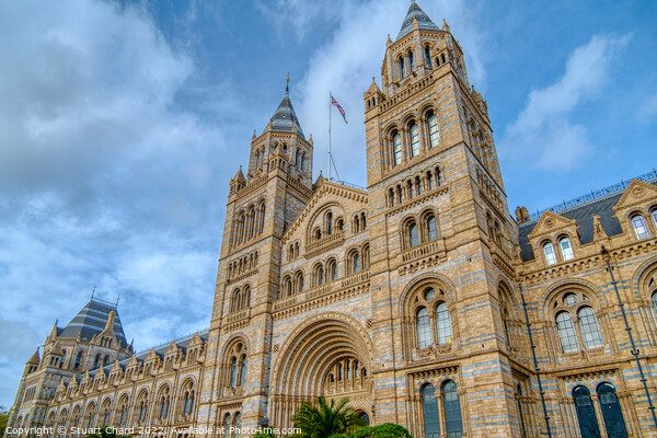 Natural History Museum Picture Board by Travel and Pixels 