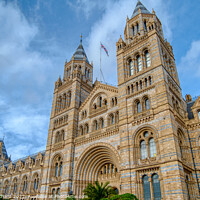 Buy canvas prints of Natural History Museum by Stuart Chard