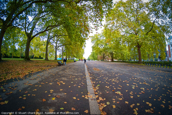 Kensington Gardens, London Picture Board by Stuart Chard